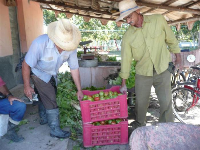 El Reglamento tiene como objeto establecer las disposiciones para el funcionamiento y organización del Registro Nacional de Productores de Alimentos y Bebidas.
