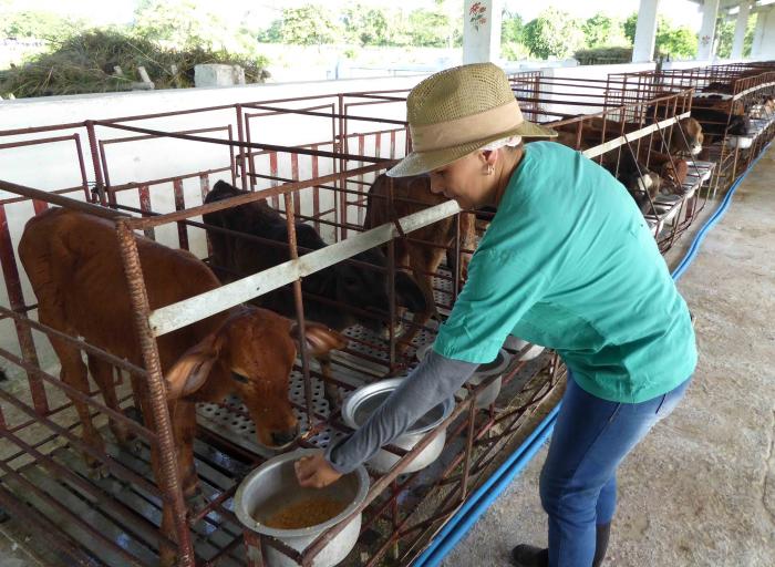 Los miembros del Consejo de Estado analizaron temas como la alimentación animal. Foto: Miguel Febles
