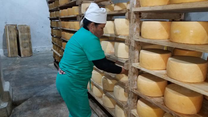 Fábrica de quesos