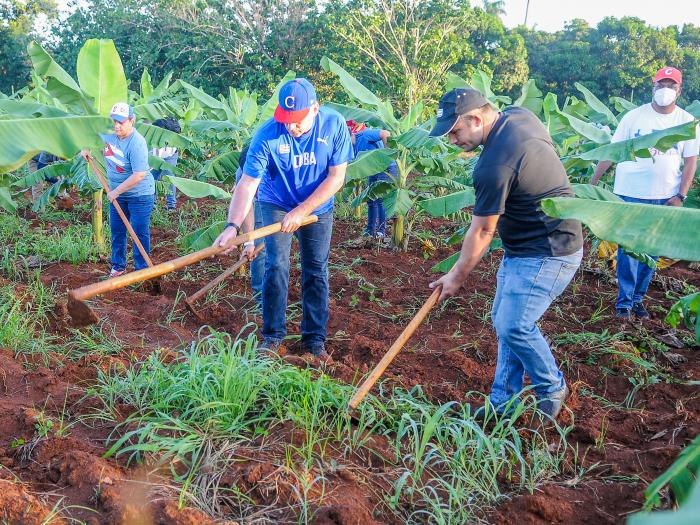 Trabajo voluntario en la Granja agropecuaria 16 de abril del CC PCC con la participación del Presidente, Miguel Díaz canel bermúdez y los jovenes