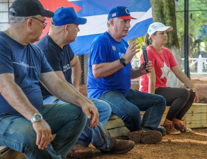 Trabajo voluntario en la Granja agropecuaria 16 de abril del CC PCC con la participación del Presidente, Miguel Díaz canel bermúdez y los jovenes