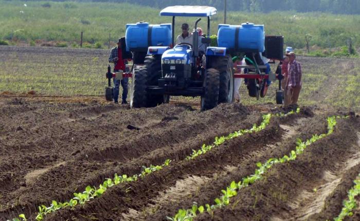 La producción de alimentos es una de las prioridades del Estado cubano
