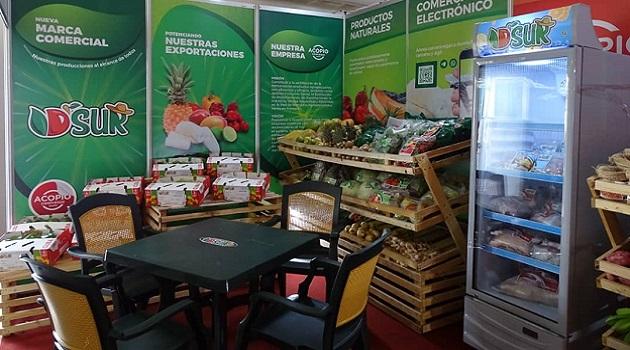 Polo-Exportador-expresion-del-desarrollo-en-Cienfuegos