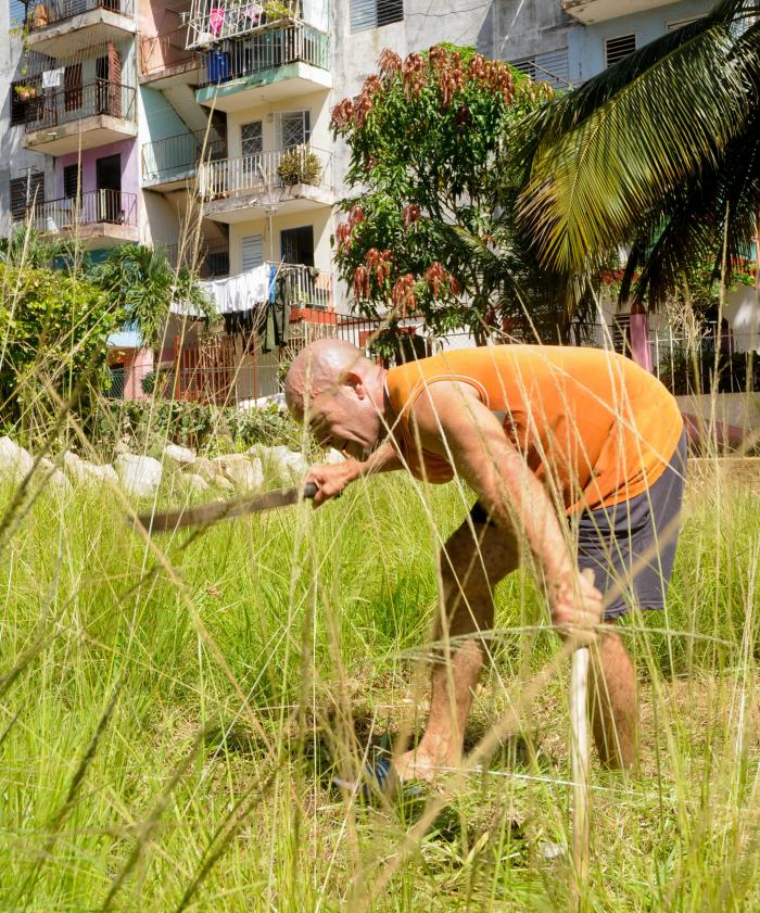 Trabajo voluntario en barrios cubanos para el embellesimiento de la ciudad, realizado en el CDR No. 4, Edif. 8, calle 107, e/ 20 y 22, Rpto. Naroca, Boyeros