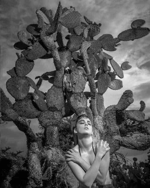 Foto del cartel de la expo. FOTO: ROBERTO VALDEZ GUEVARA