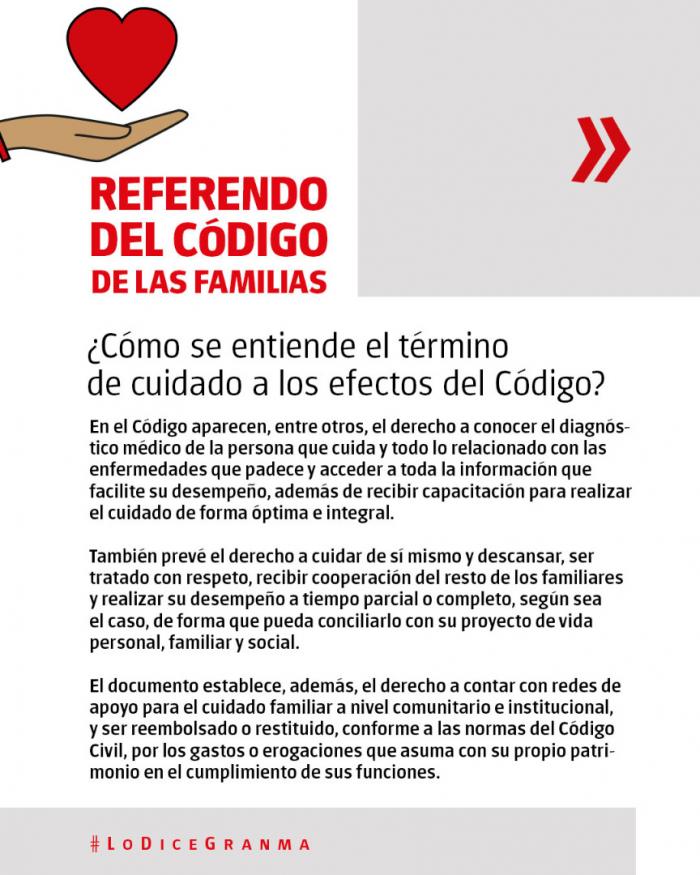 ¿Cómo se entiende el término de cuidado a los efectos del Código? 