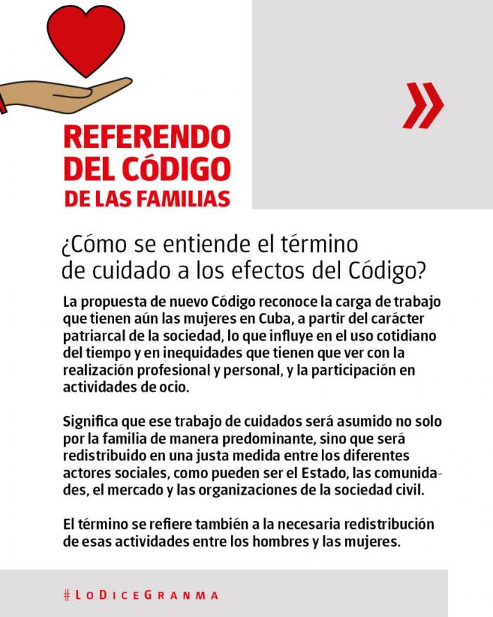 ¿Cómo se entiende el término de cuidado a los efectos del Código? 