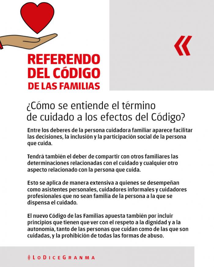 ¿Cómo se entiende el término de cuidado a los efectos del Código? 