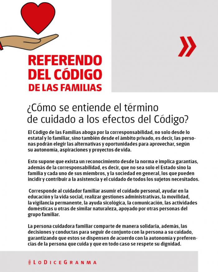 ¿Cómo se entiende el término de cuidado a los efectos del Código? 