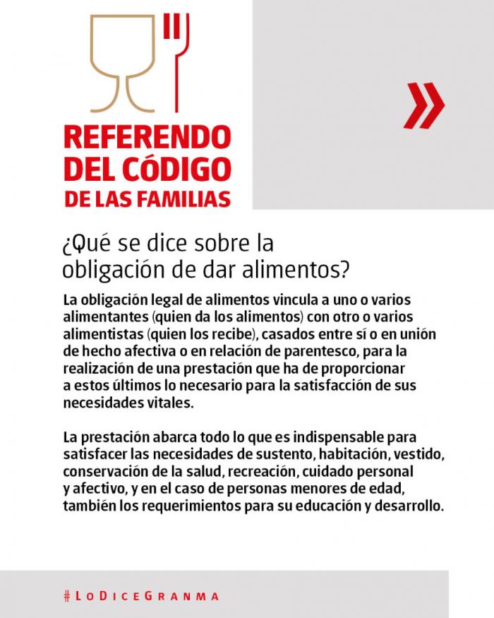 ¿Qué se dice sobre la obligación de dar alimentos? 
