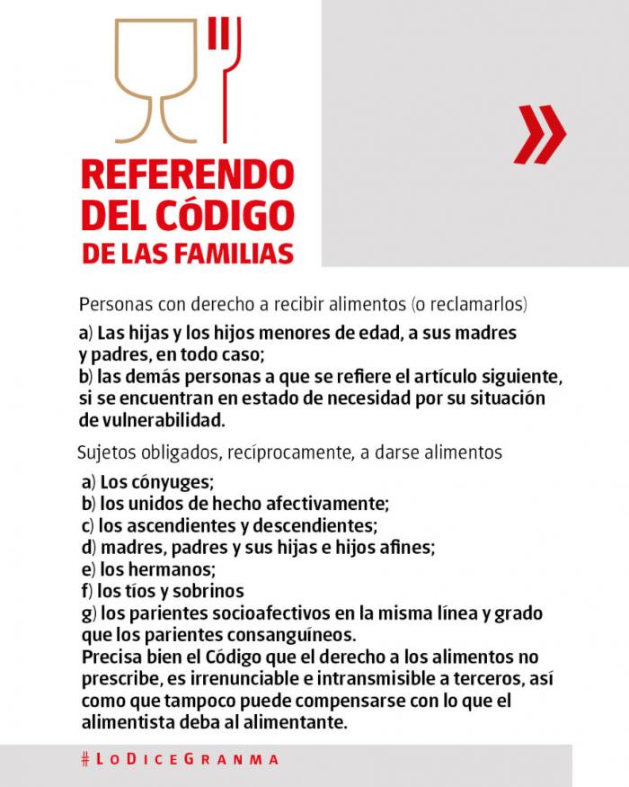 ¿Qué se dice sobre la obligación de dar alimentos? 
