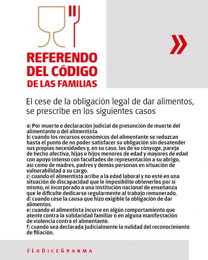 ¿Qué se dice sobre la obligación de dar alimentos? 

