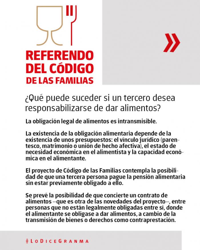 ¿Qué se dice sobre la obligación de dar alimentos? 

