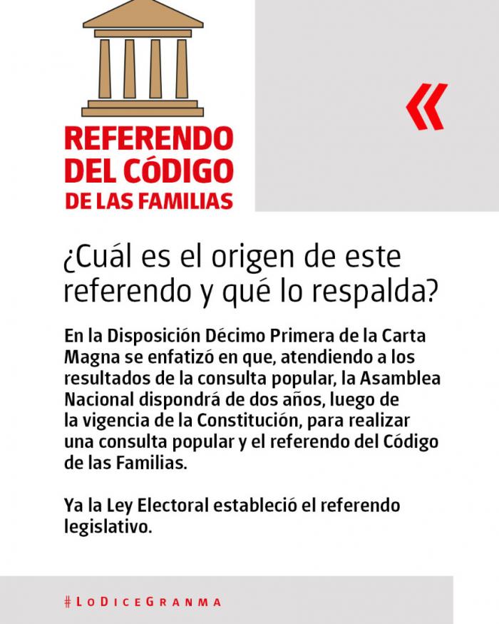¿Por qué el Código de las Familias se lleva a referendo?
