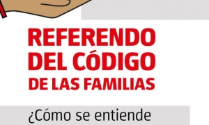 ¿Cómo se entiende el término de cuidado a los efectos del Código? 