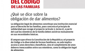 ¿Qué se dice sobre la obligación de dar alimentos? 