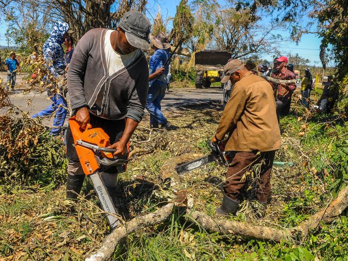 Labores de recuperación  tras el paso del huracán Ian por la provincia Pinar del Río, Recogida de desechos sólidos y restauración de líneas eléctricas