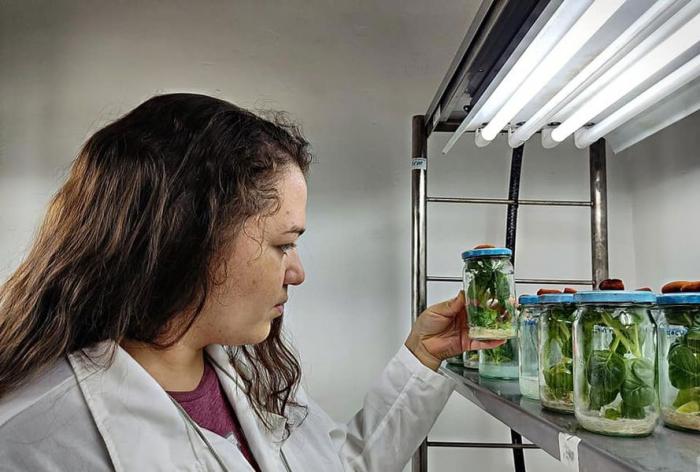 Fomentar la investigación de las ciencias agrícolas para potenciar la producción de alimentos en el país. 