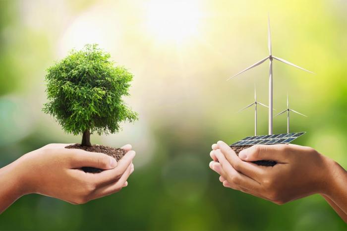 Energía, Medio Ambiente y Desarrollo Sostenible