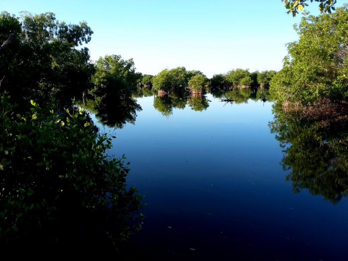 Canalizos interiores en excelente estado de preservación, al sur de Cayo Coco