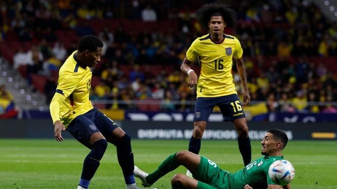 Ecuador vs Qatar
