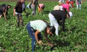 Trabajadores de varios sectores