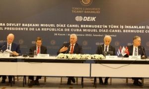 Diaz-Canel en Turquía