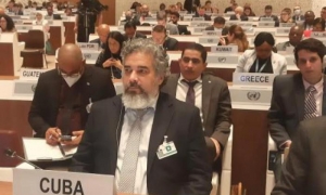 Elegida Cuba vicepresidenta 