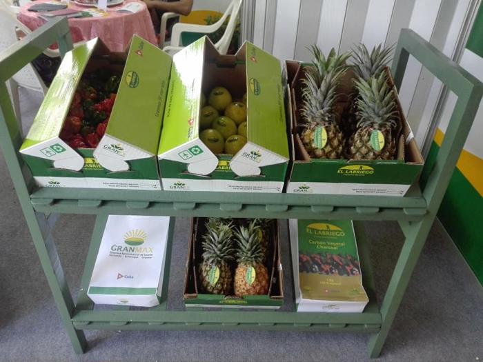 Entre los primeros productos que incluye en su cartera de exportación la empresa GRANMAX se encuentra el ají pimiento el chile habanero la piña y el carbón vegetal.