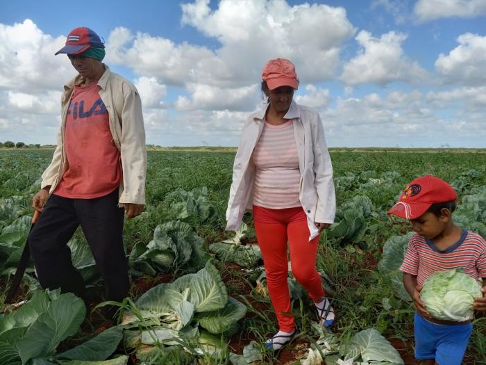 agricultura