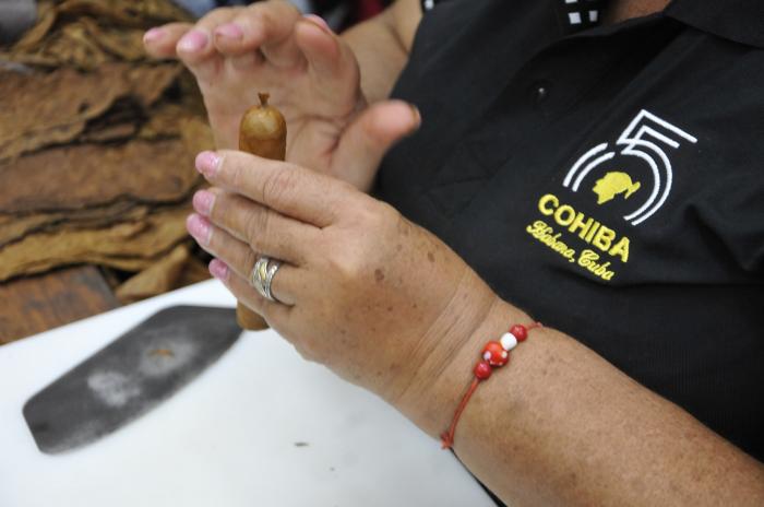 Fabrica de Tabaco Cohiba.