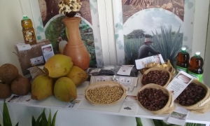 Feria Biocuba