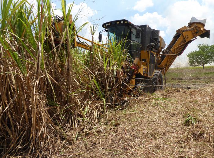 agricultura