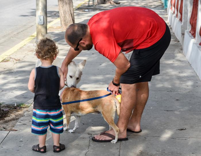 Mascota de familia cubana