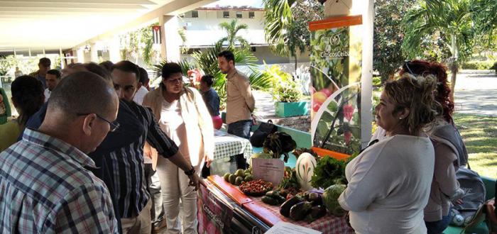 La exportación es vital para el desarrollo de Artemisa