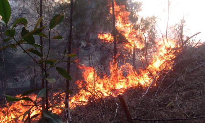 incendio