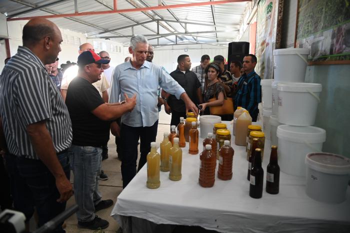 Recorrido polo productivo y Mini industria