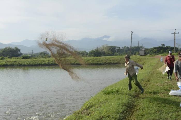 La ueb Acuipaso fue objeto, los últimos dos años, de un proceso inversionista que se dirigió, esencialmente, a la recuperación de sus áreas más estratégicas. foto tomada del parlamento cubano