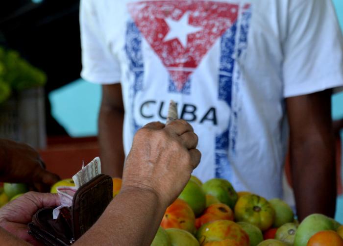 Recorrido por agros y plazas de la capital, precios, suministros y calidad de los productos.