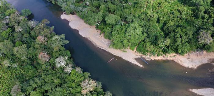 Peligrosa selva del Darién
