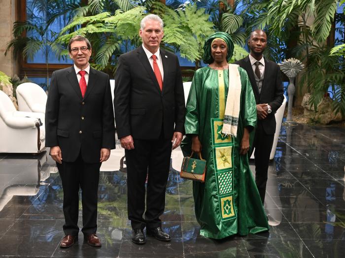 Recibió Díaz-Canel las Cartas Credenciales de nuevos embajadores