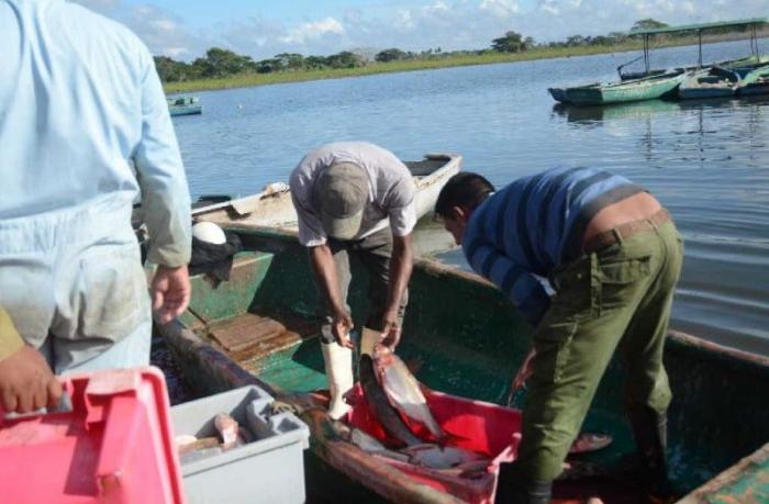 Los bajos niveles de captura en el mayor embalse de Cuba preocupan a los pescadores que en el primer trimestre del año solo materializaron el 40 por ciento del plan.