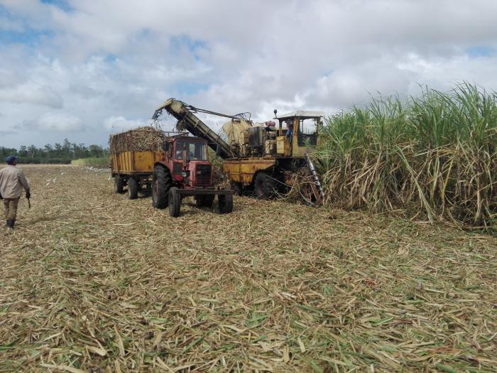 Esta parte de la agroindustria azucarera se beneficia no solo con las medidas propias del sector, sino con las aprobadas también para el sector agrícola. FOTO: JULIO MARTÍNEZ MOLINA