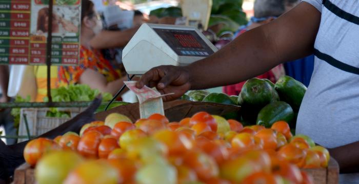 Recorrido por agros y plazas de la capital, precios, suministros y calidad de los productos.