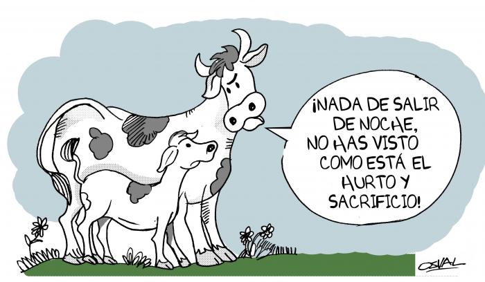 CARICATURA