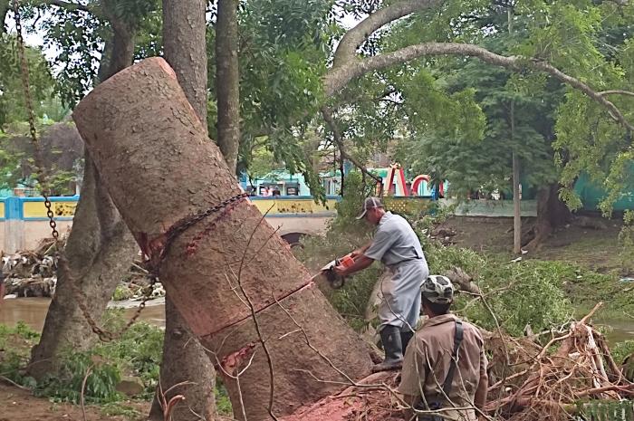 Camagüey se recupera de los daños provocados por las intensas lluvias