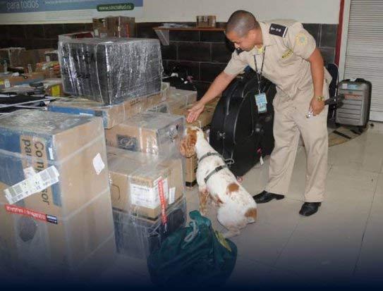 Cuba mantiene política de cero tolerancia alas drogas