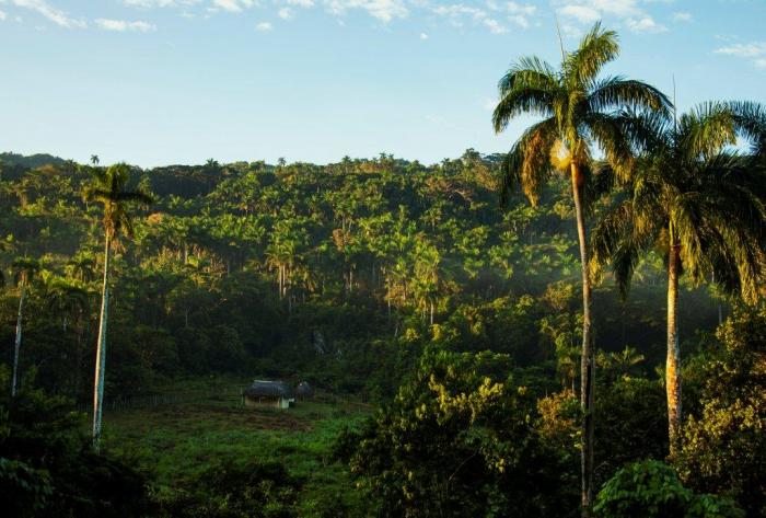 medio ambiente