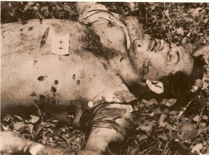 Nito Ortega