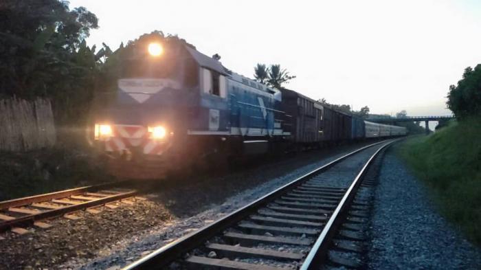 Tren